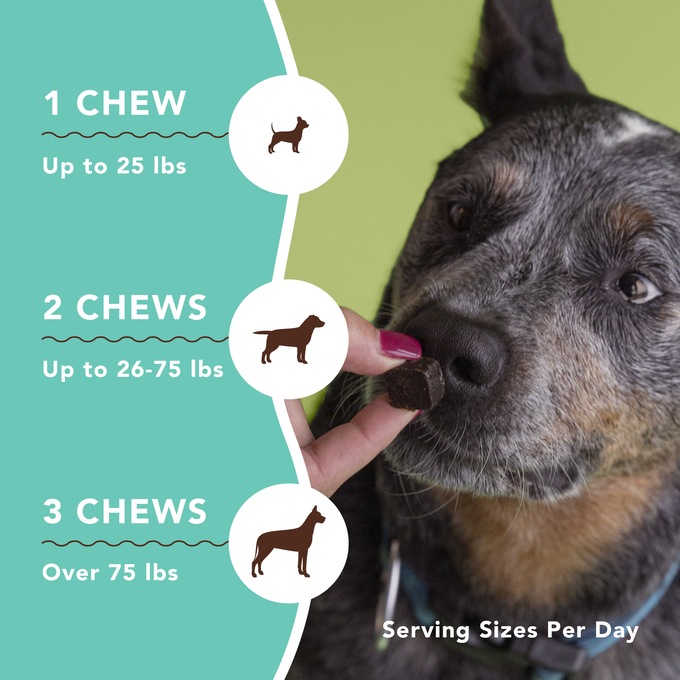 Natural Dog Company Calming Supplement, , large