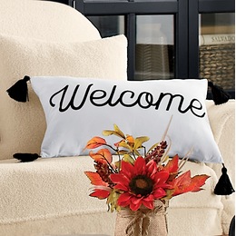 Welcome Pillow, , large