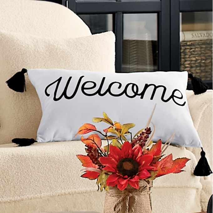 Welcome best sale lumbar pillow