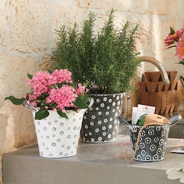 Set of 3 Daisy Buckets, , large