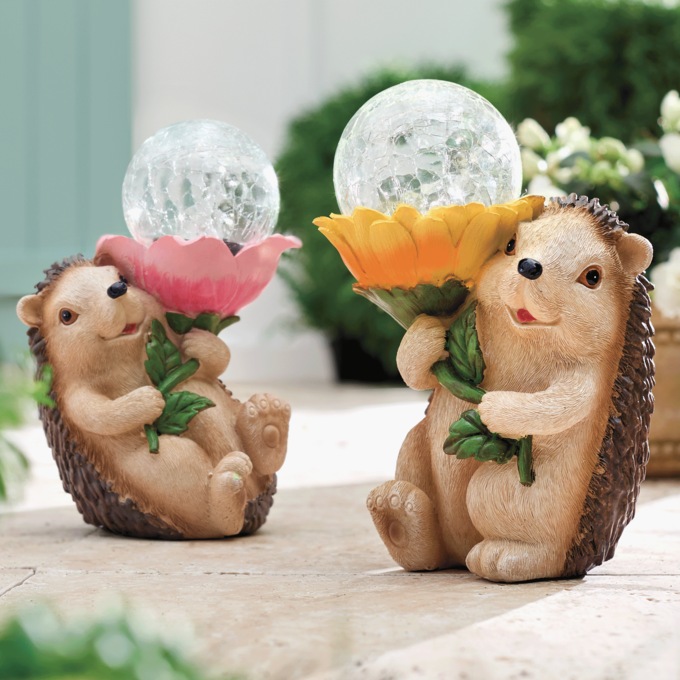 Solar Hedgehog, , large
