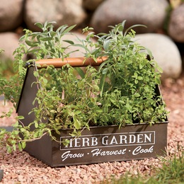 Herb Garden Organizer, , large
