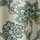 Teal Floral
