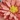 3-D Daisy Pillow Cover, Pink, swatch