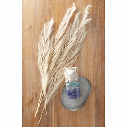 Set of 4 Dried Feathered Leaves, , large