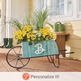 Blue Wheelbarrow Planter, , large