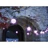 25' Solar String Lights, , large