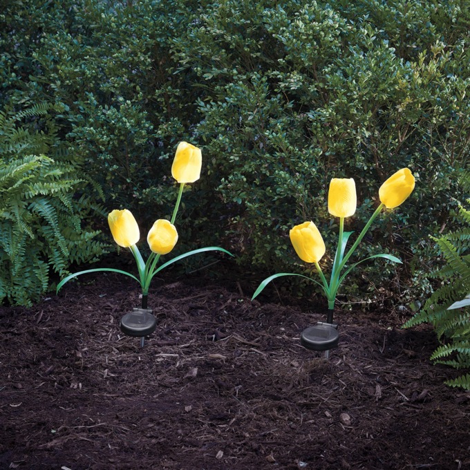Set of 2 Solar Tulip Lights, Yellow, large