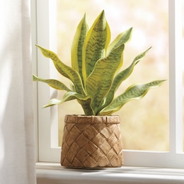 Faux Snake Plant in Basketweave Pot, , large