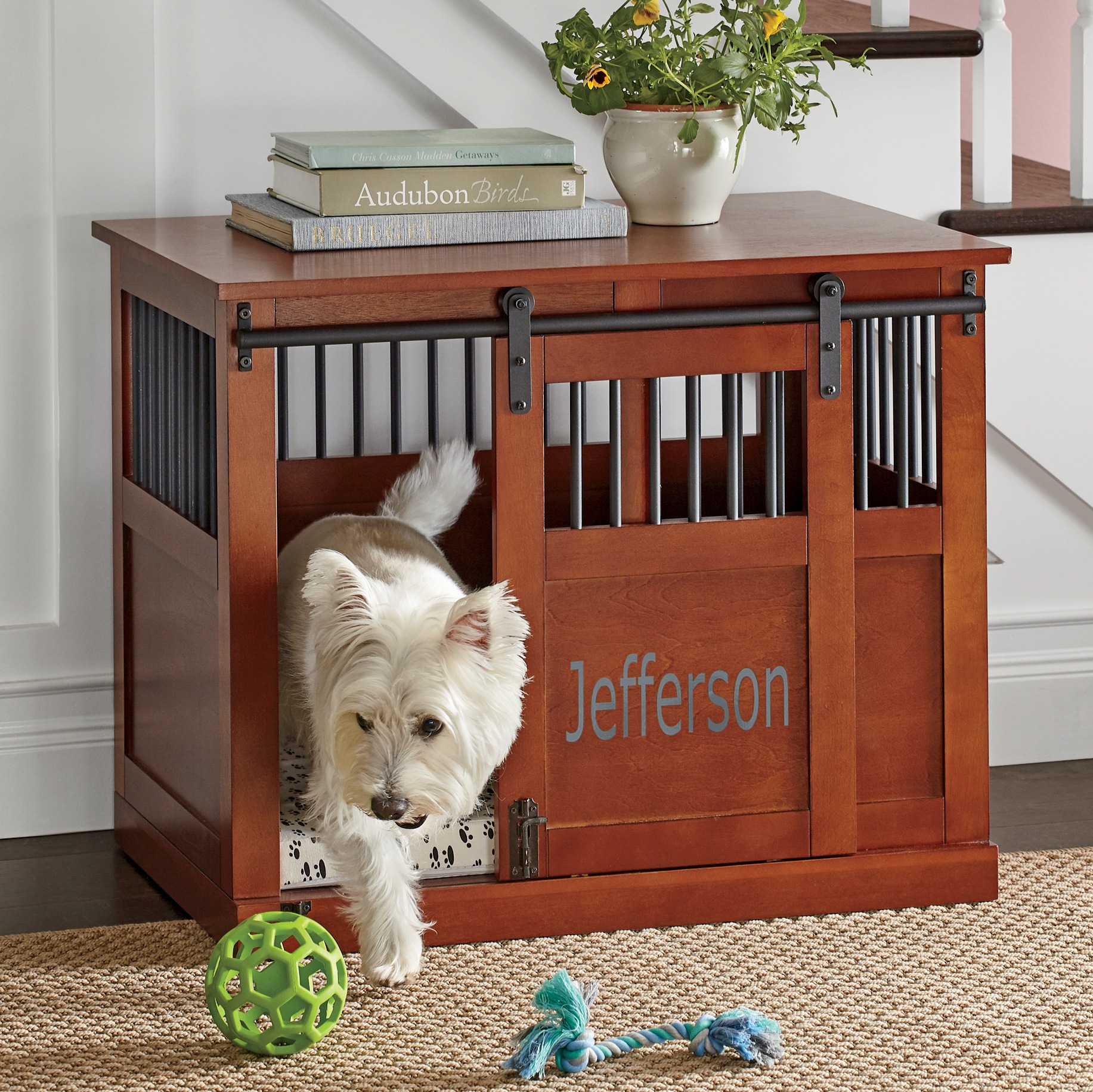 dog kennel barn door