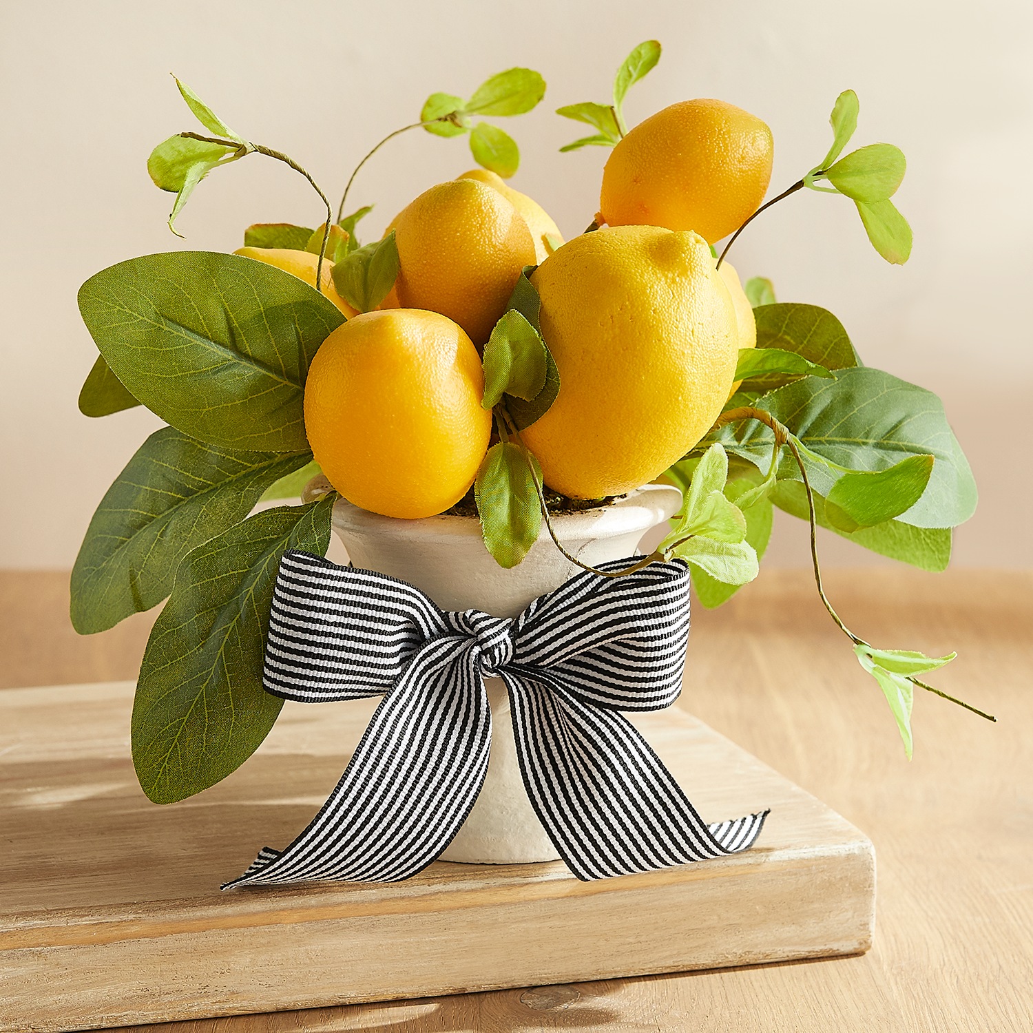 Lemon Plant In Pot Country Door