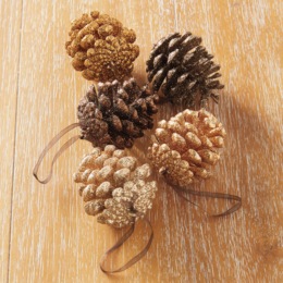 Set of 5 Glittered Pinecone Ornaments, , large