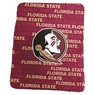 NCAA Classic Plush Throw, , large