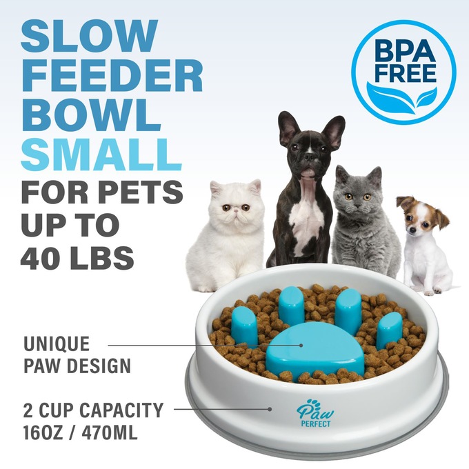 Paw Perfect Slow Feeder Bowl, , large