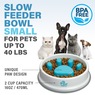 Paw Perfect Slow Feeder Bowl, , large