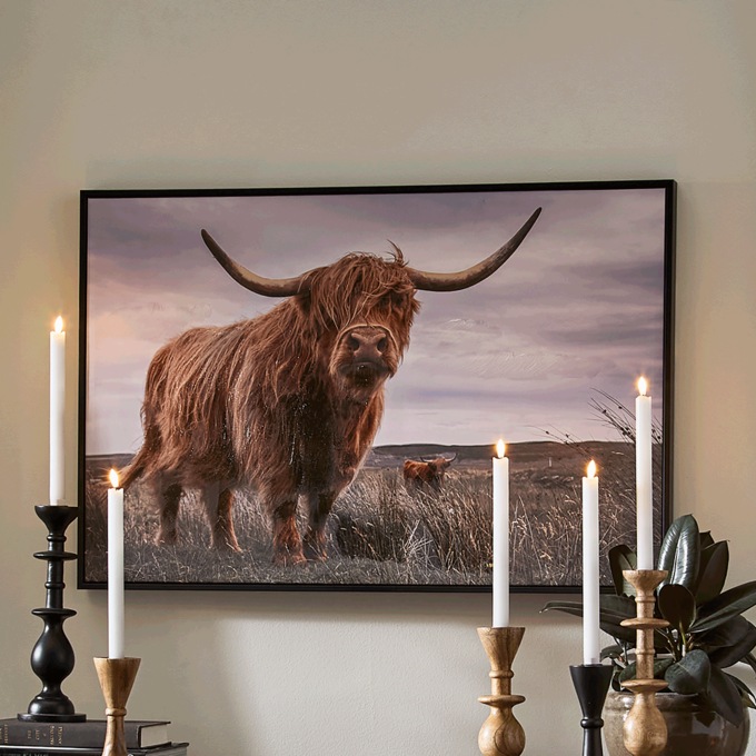 Framed Highland Cow Canvas, , large