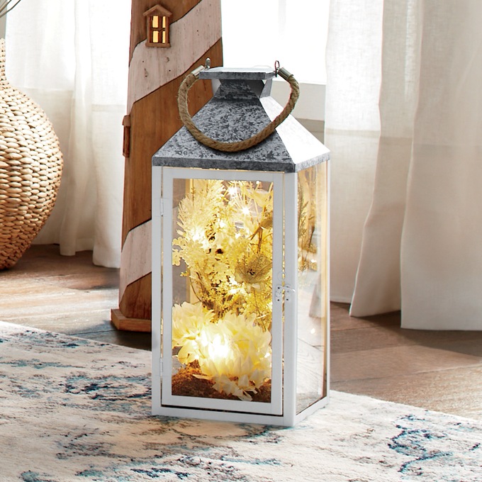 Lit Coastal Floral Arrangement in Lantern, , large