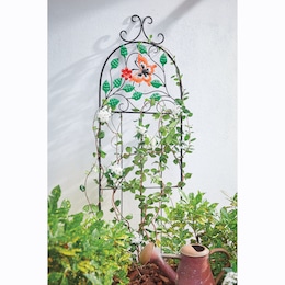 Garvan Garden Trellis, , large