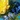 Solar Memorial Cross, Yellow, swatch