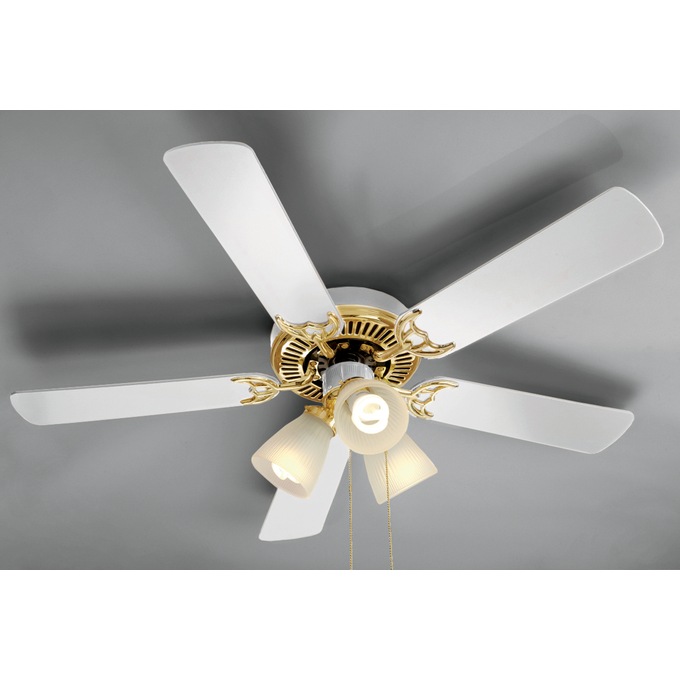 Dual Mount Ceiling Fan Country Door