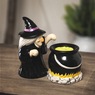 Witch and Cauldron Salt & Pepper Shakers, Black, large