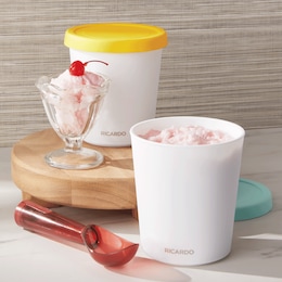 Ricardo Ice Cream Container, , large