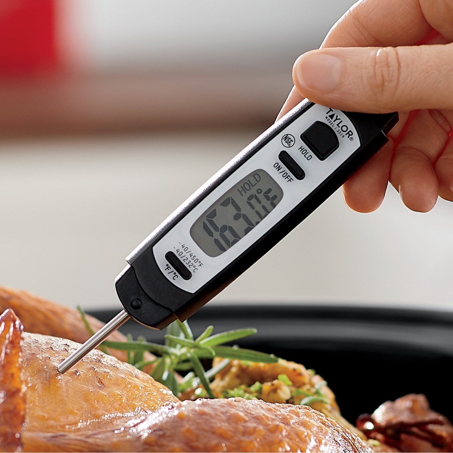 Taylor Digital Meat Thermometer Country Door