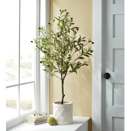 Olive Tree, , large