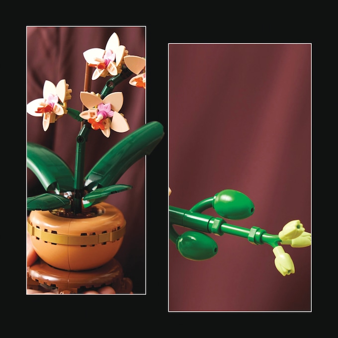 LEGO Botanicals Mini Orchid, , large