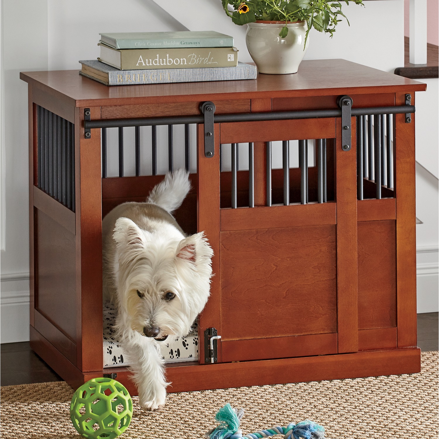 Barn Door Dog Crate Country Door