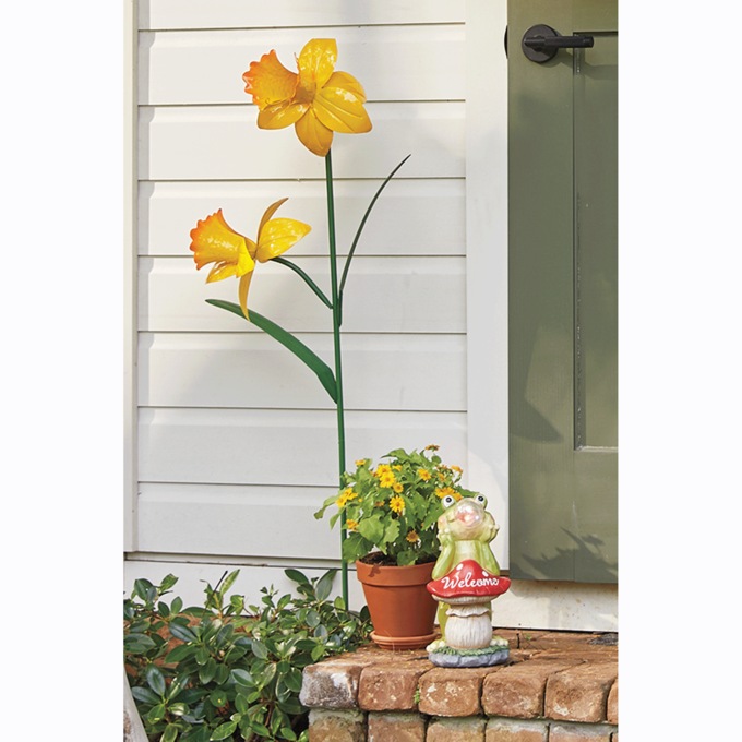 Daffodil Stake, Yellow, large