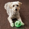 Set of 2 Glow-In-The-Dark Pet Balls, , large