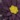 3-D Daisy Pillow Cover, Purple, swatch