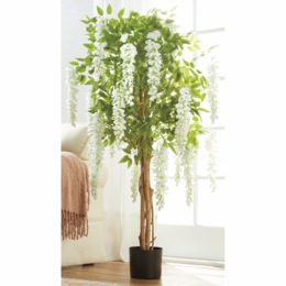 Wisteria Tree, , large