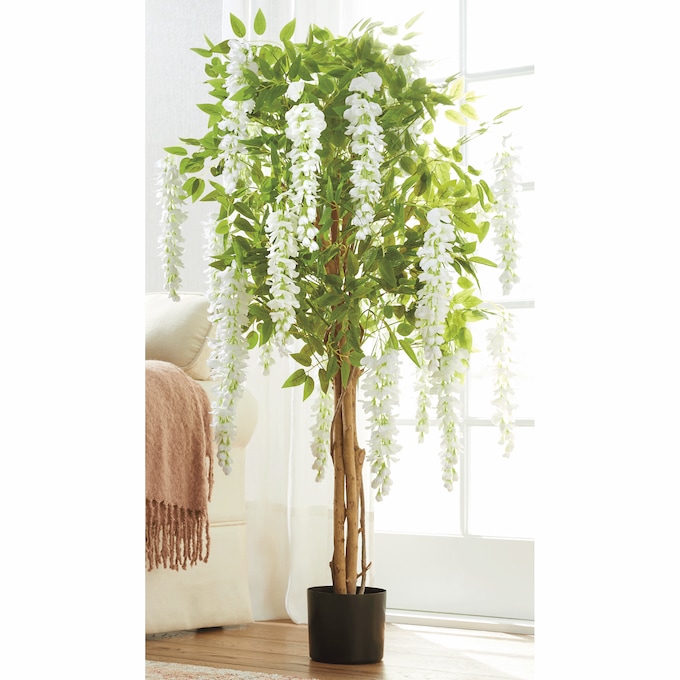 Wisteria Tree, , large