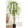 Wisteria Tree, , large