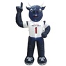 NFL Inflatable Mascot, , large
