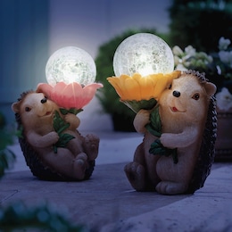 Solar Hedgehog, , large