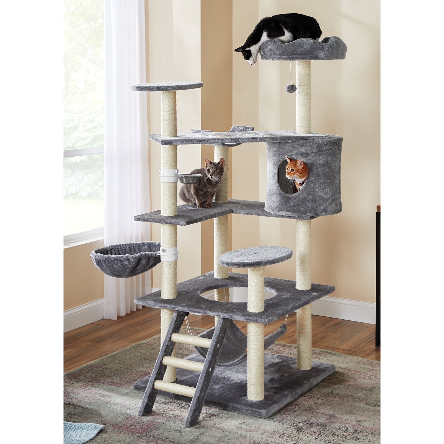 Midnight molly registered cat scratcher