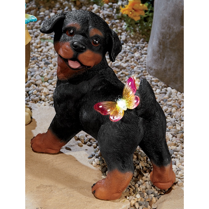 Solar Puppy with Butterfly, , large