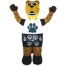 NFL Inflatable Mascot, , large