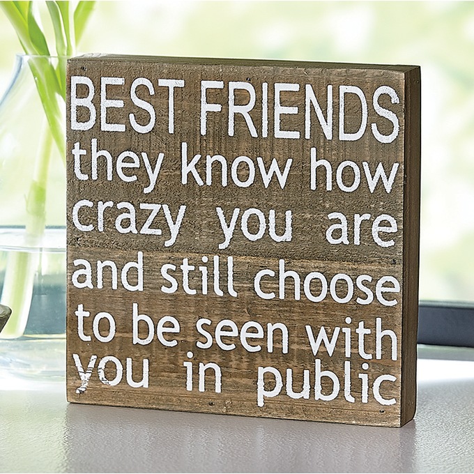 Best Friend Noun Knows How Crazy You Are And Still Chooses To Be