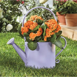 Watering Can Planter, , large