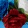 Red White Blue