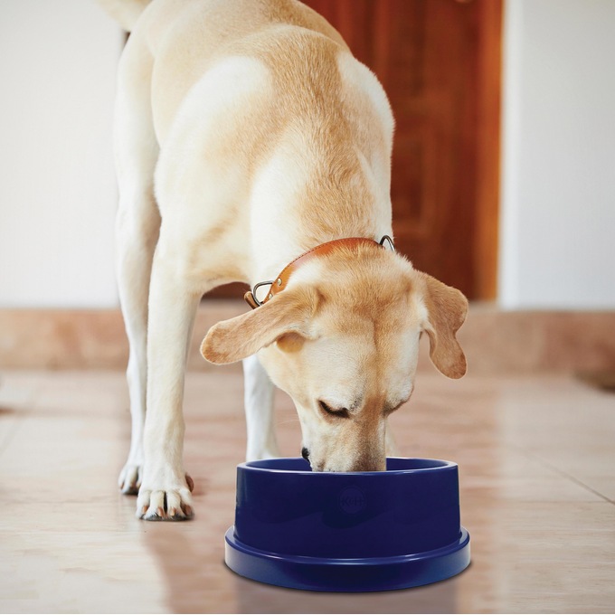 K&H Pet Coolin' Bowl, , large