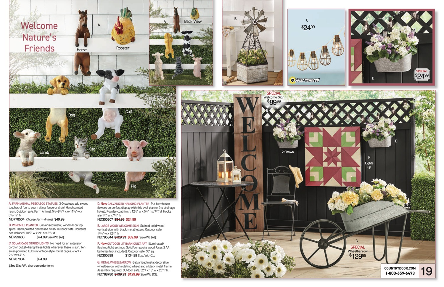 Pages 18 and 19 of 100