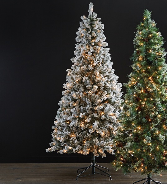 Banner: Shot of 2 faux Christmas trees with lights on.